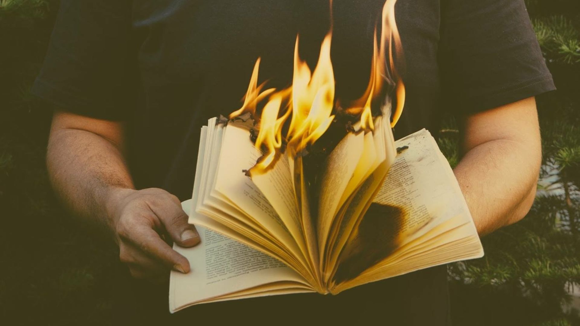 Person holding a burning book