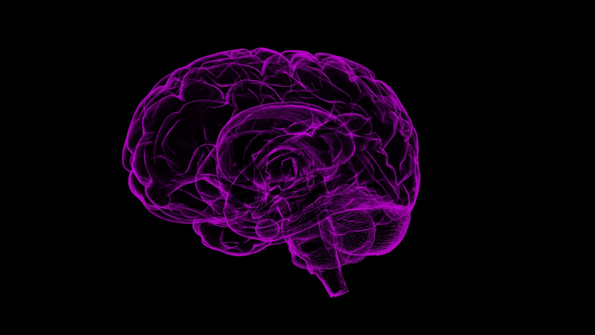 Image of a purple brain on a black background